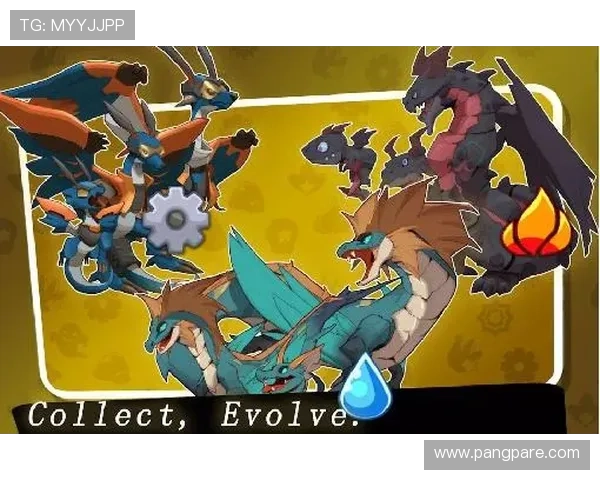 探索j9九游平台的无限魅力与精彩游戏体验