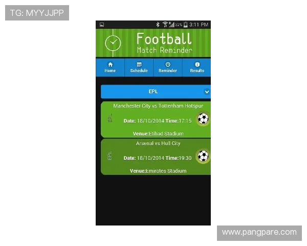 九游体育旗舰厅官方地址安全验证流程，帮助用户识别官方地址避免虚假网站