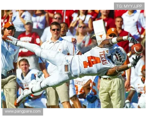 九游体育在线登录丰富的体育赛事资源，尽享精彩体育盛宴