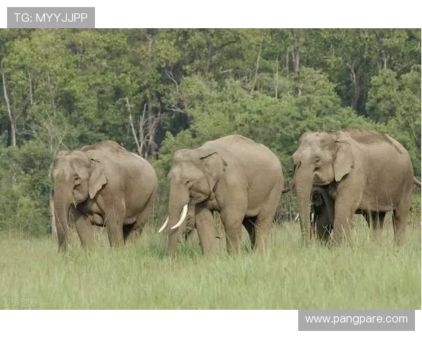 如何在J9游娱乐中找到最适合自己的休闲娱乐方式